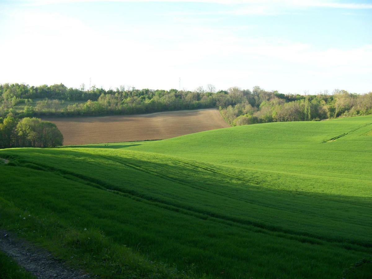 Loustalneou Saint-Pierre-de-Clairac Exterior foto
